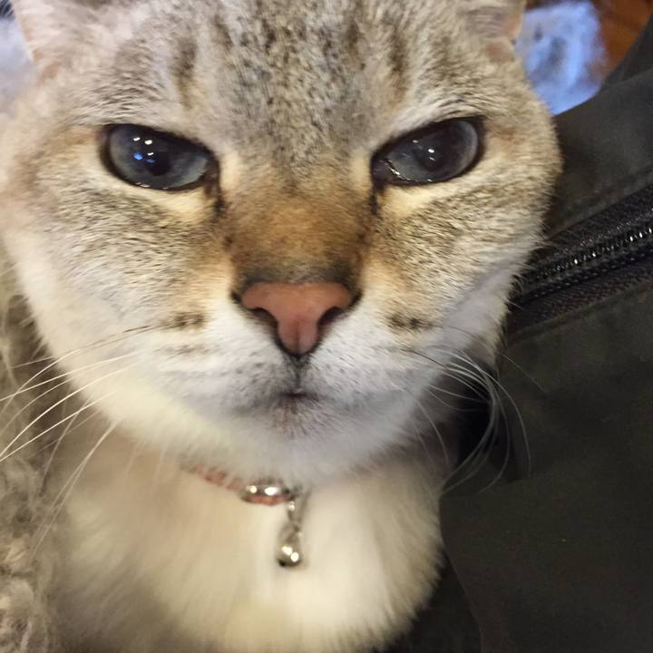 39b1a3a2 93d0 49fa 8c5a 1a8716793591