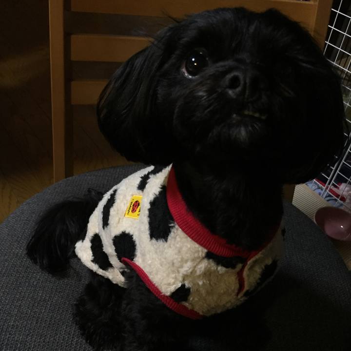 39b1b1e5 39d5 4335 841b 5d61f9c1507d