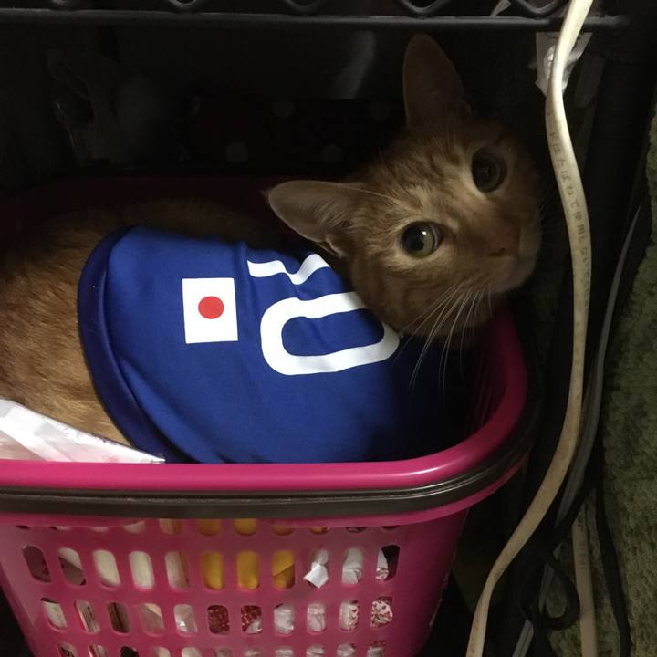 39b1ce16 e961 49f1 8bf7 17cc2f3751a8