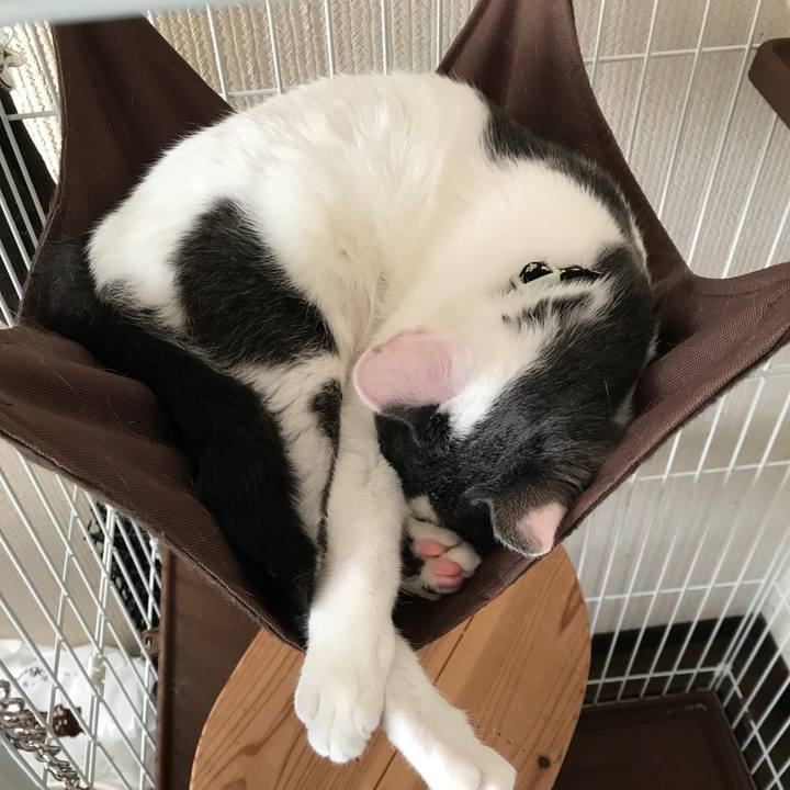 39b1da32 ad28 4b4a 8cd0 f1ae9c98de25