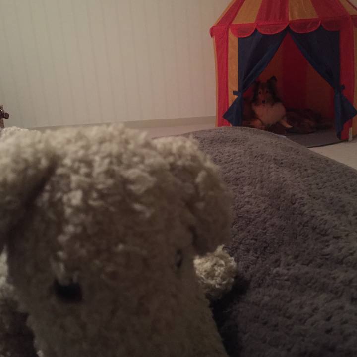 39b1f50a ac17 4078 9b73 1af2179e1c14