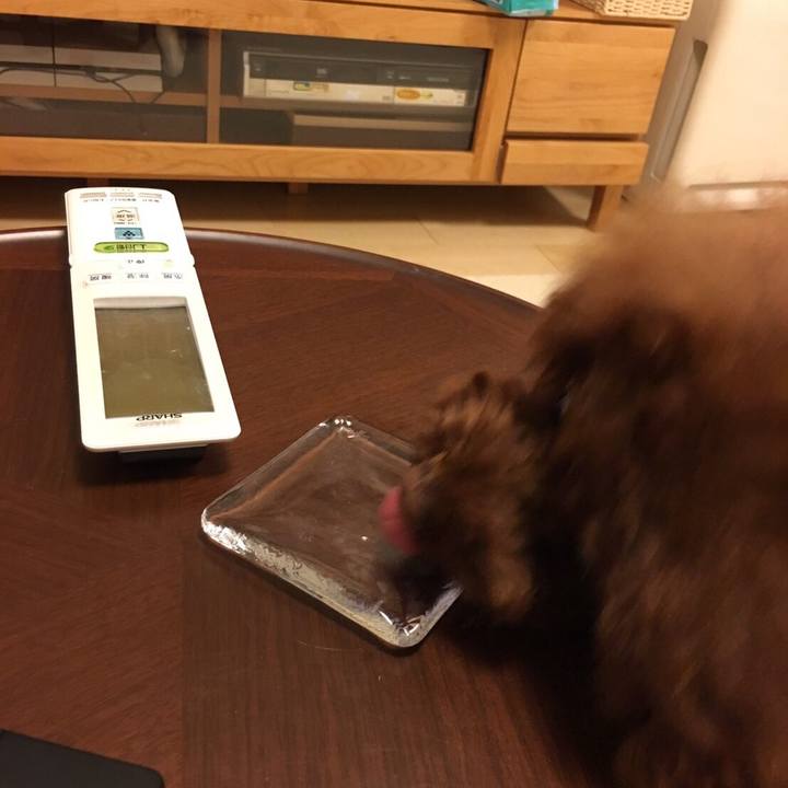 39b21079 c4d0 4600 bf6f 4d82a95481cf