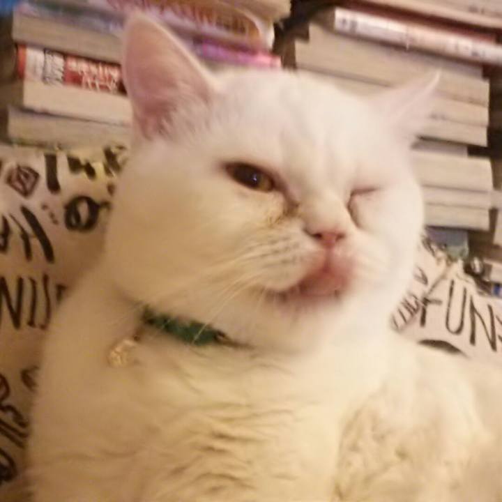 39b2c6f1 b463 4c67 bb66 449cb9a55be8