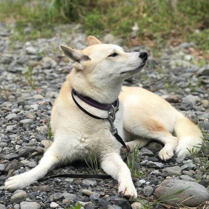 39b382fa d72b 4b6a a886 935da762eb25