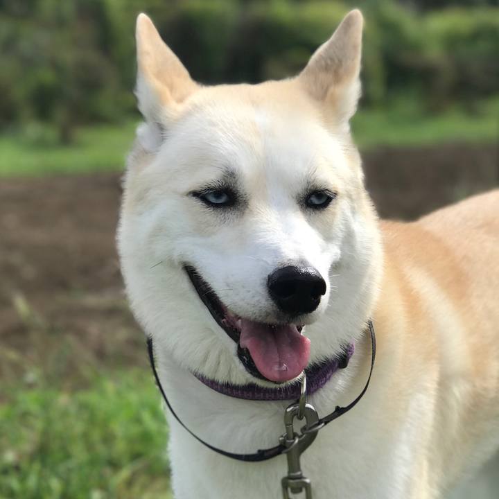 39b483eb c865 4072 b85e 30e62a49d914