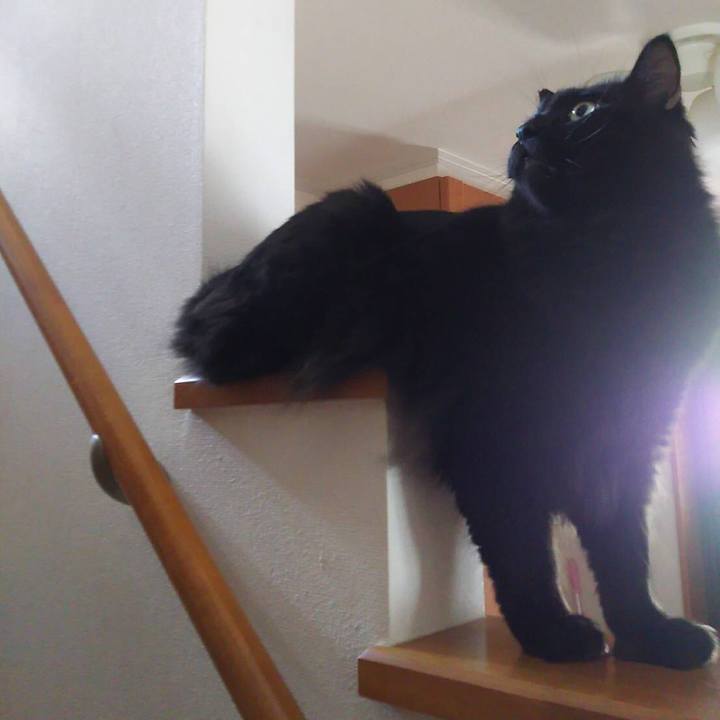 39b541d0 e37f 498d b331 1d5e8cfe04a5