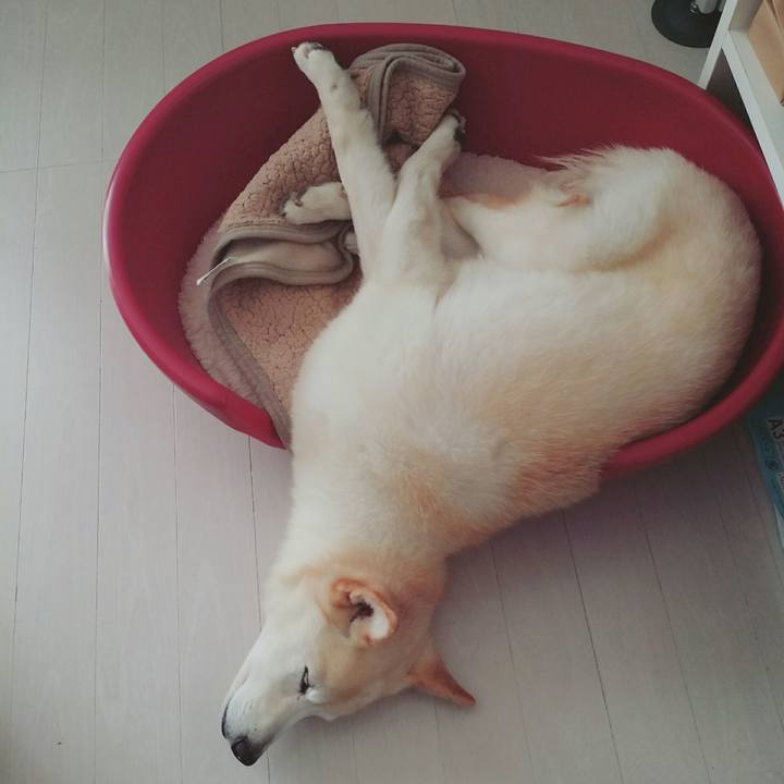 39b5943e 81b5 4089 a95d f8a1ed3b3951