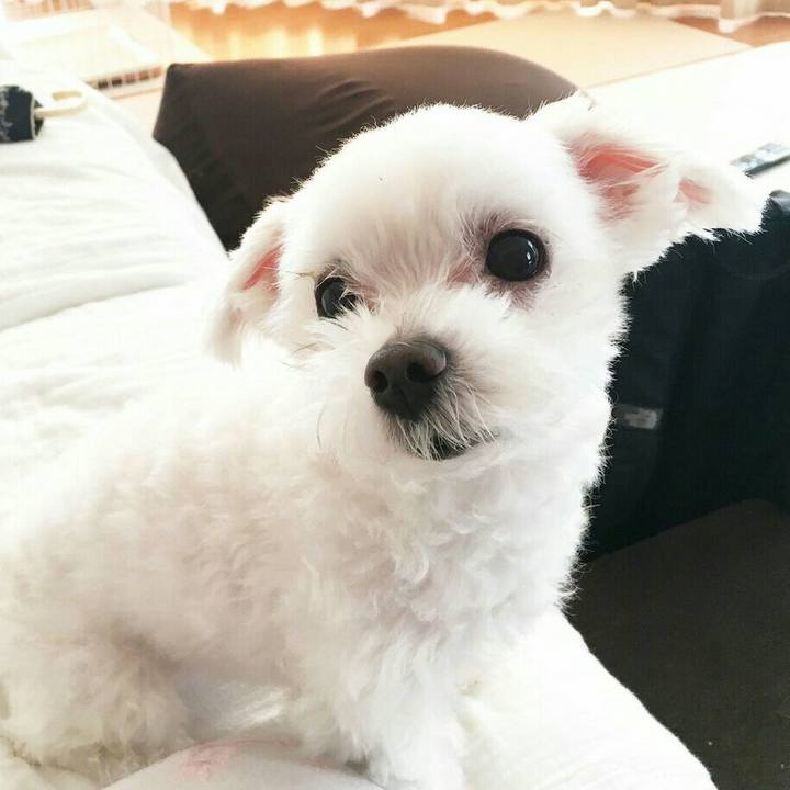 39b5a0e4 bcce 4ea7 984b bf0f84667898