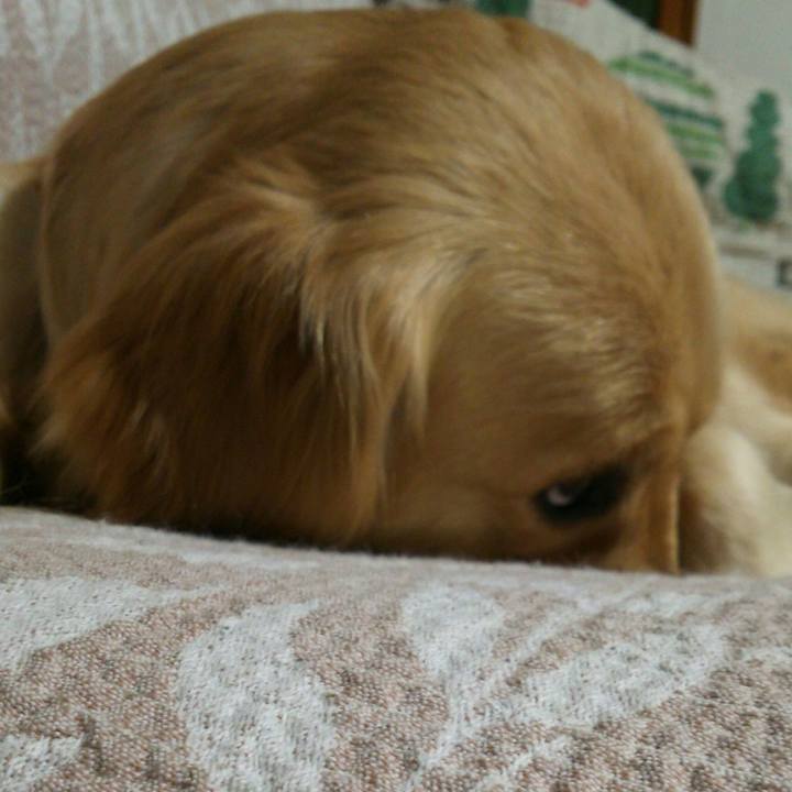 39b5a5ba d0b8 442c b402 a992bf915f36