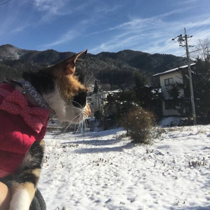 39b5ab6e 3bd2 441f af66 05f890991a64