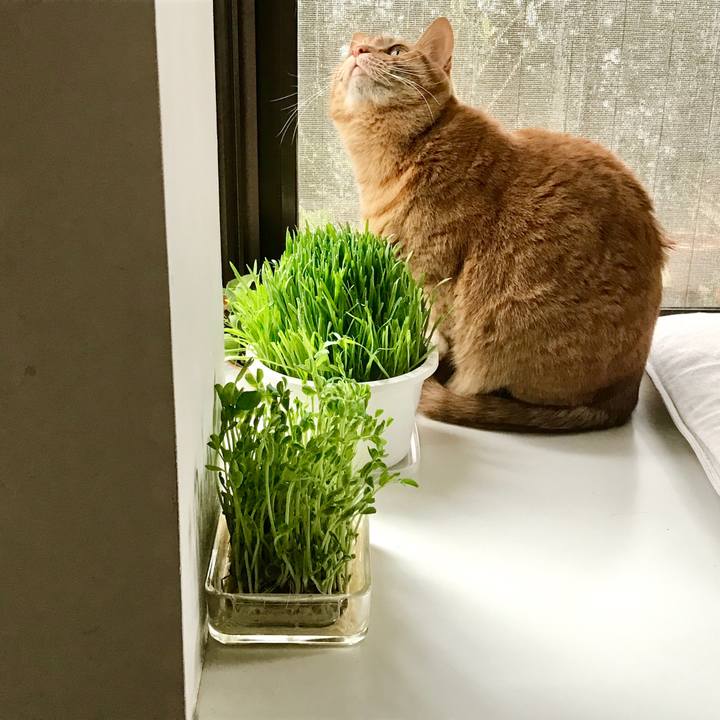 39b5c76b d39d 4f02 9a5a 97c6753f7646