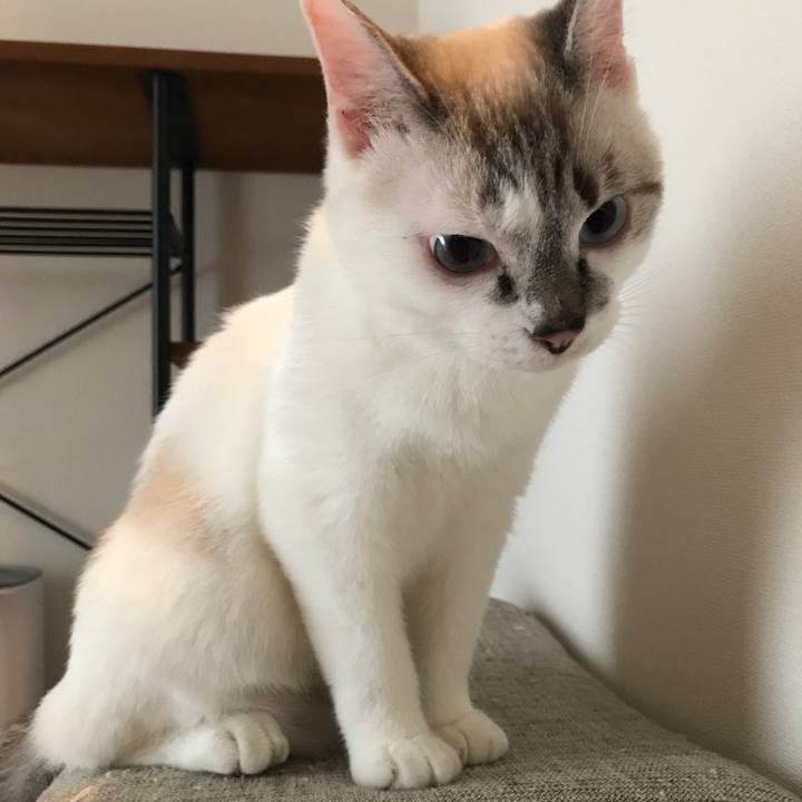 39b64554 348e 4c66 9738 0845e9c47955