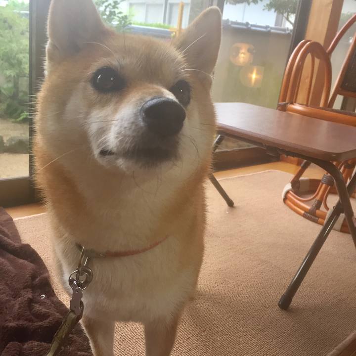 39b68640 fa2f 4d22 98c6 5f77bbdc0365