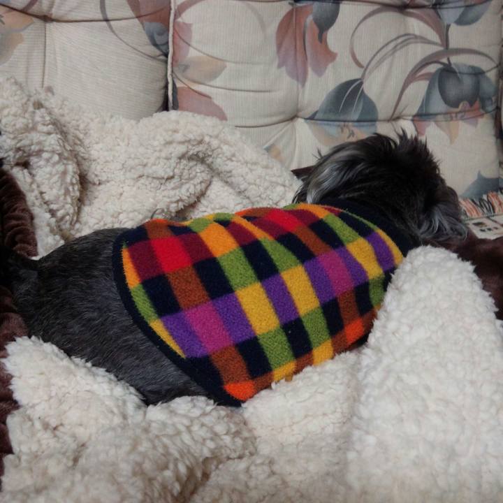 39b71006 6824 4b22 8d3c 4100bd583490