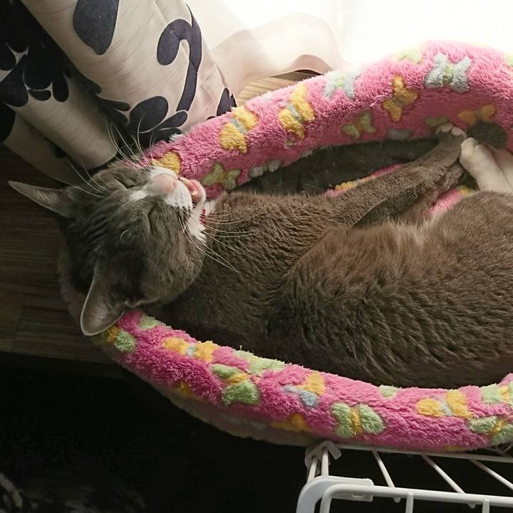 39b71ad5 176a 4fea b11a 0cb4afd3c3f5