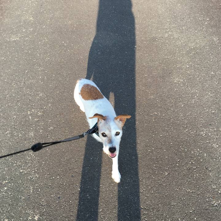 39b76733 0769 4941 a98c 100e913161b4