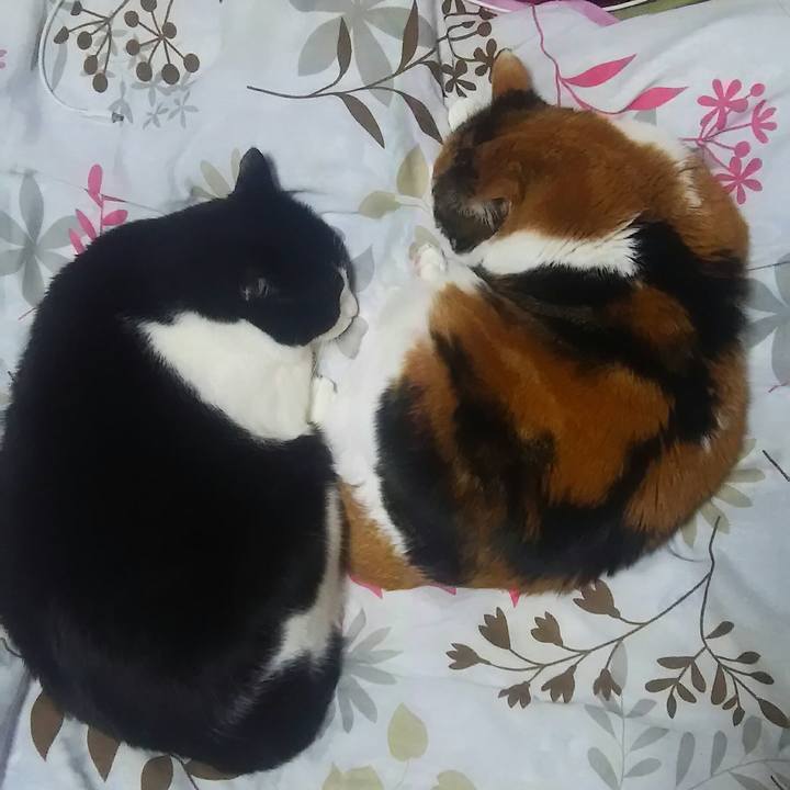 39b77f43 9bea 40f0 a2ea f3e5e86acfe3