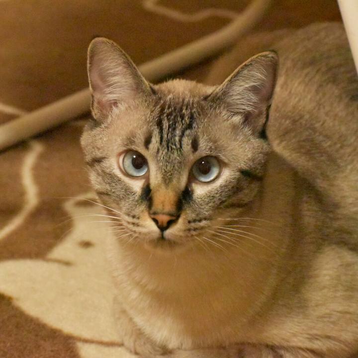 39b812f5 42cd 4a61 8575 70f886a2ac14