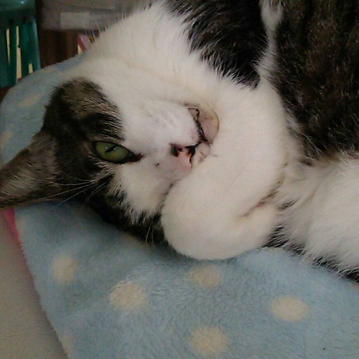 39b856ef eb4c 4a05 a95e cac196c1ca1b