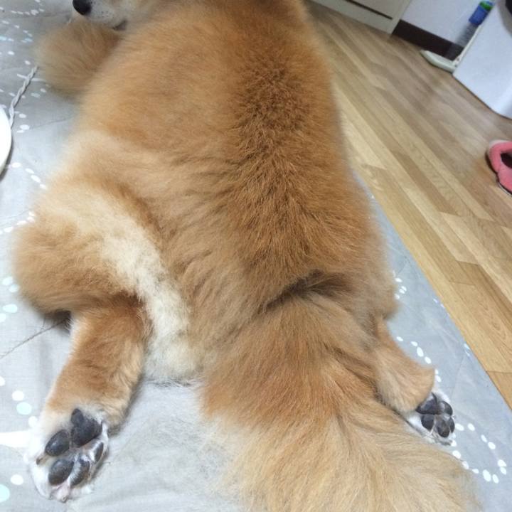 39bb46d1 4c39 472b b1f2 3a14d972861b