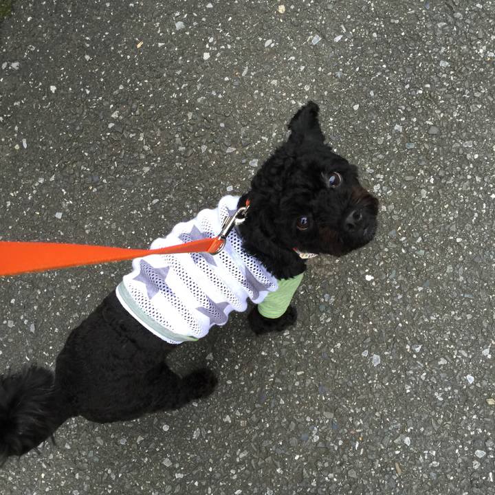 39bb8d83 17c7 4917 8cb4 594c3c7e4dad