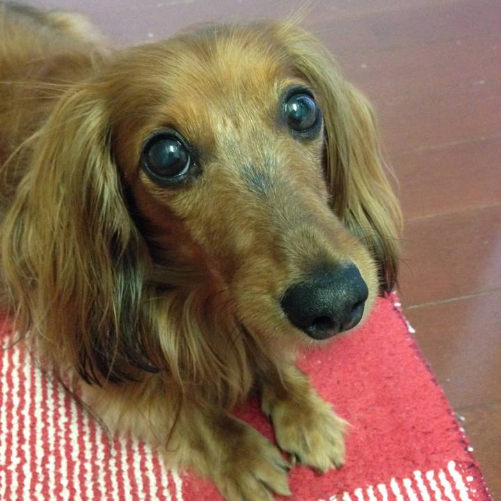 39bbac97 e9d0 4842 8cd0 510c740cb835