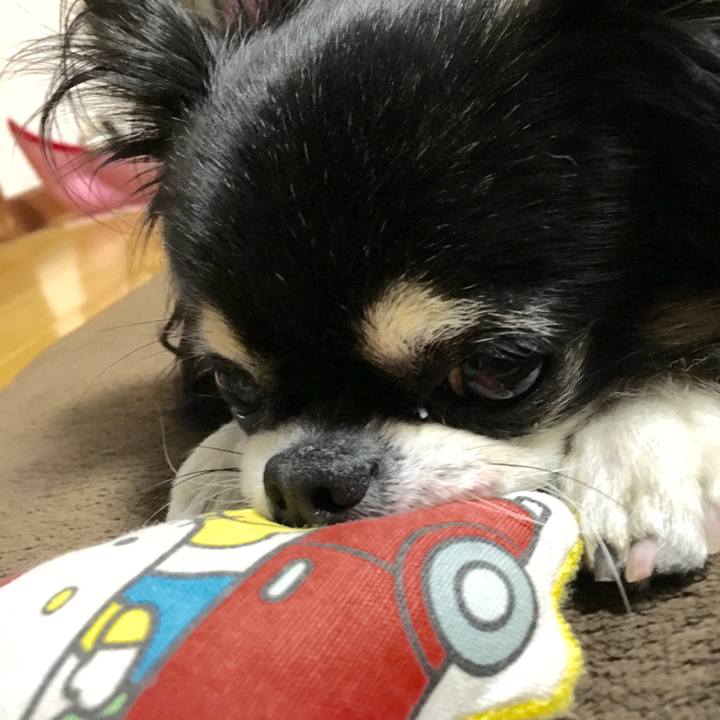 39bc06f0 7fa7 491c a107 b41b466eb4f3