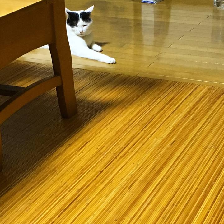 39bc52fd 1421 4c41 bcbe 733f703ac32d