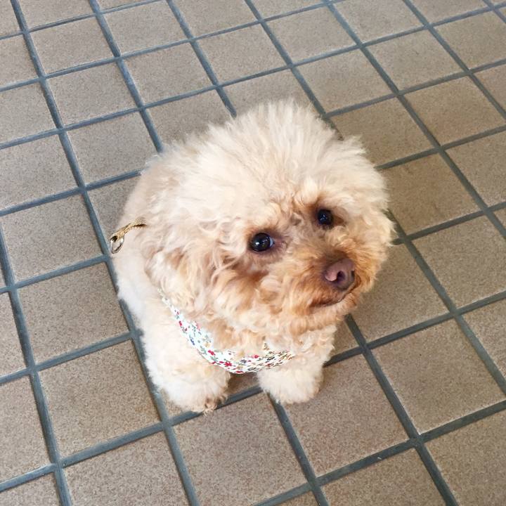 39bc961f be10 4558 8a3f 76b3aad41de9