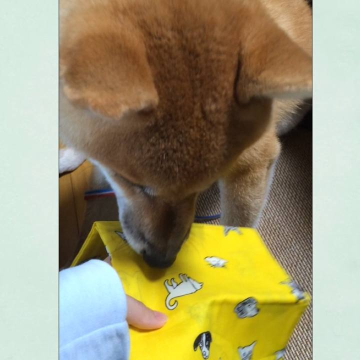 39bcbe78 7e87 48f2 9ec9 f06a58ed0435