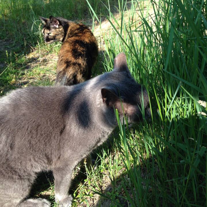 39bcec44 a7f6 452f b210 abc4aafdd4ed