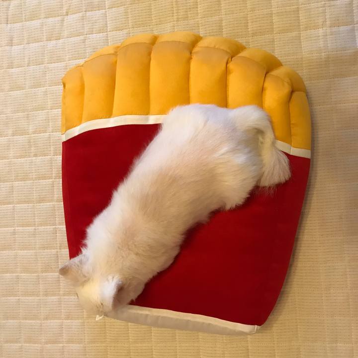 39bd58c8 66a2 4648 9b4f c529cb340cbf