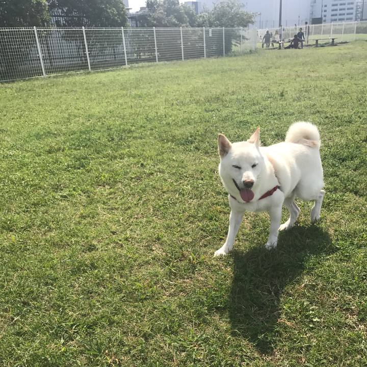 39be5998 ecd0 4306 90d8 b55dac734b40