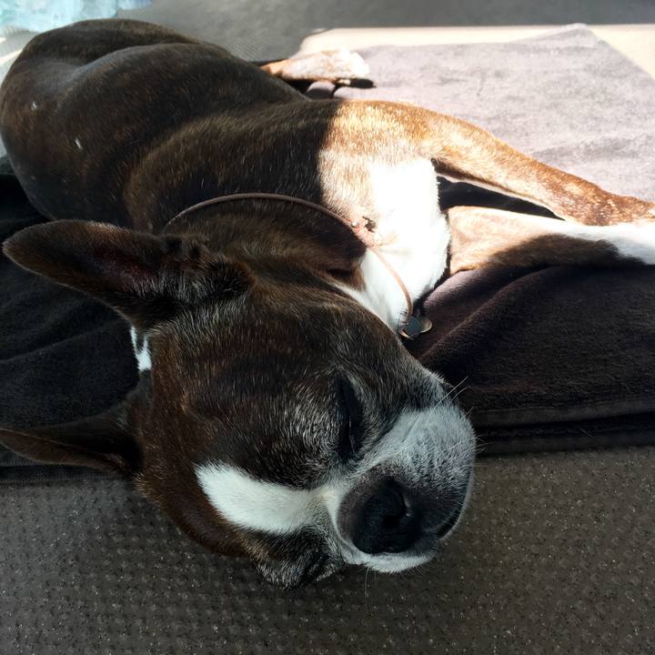 39be9a29 62ac 47ca 894b 96d89ed1f0b7