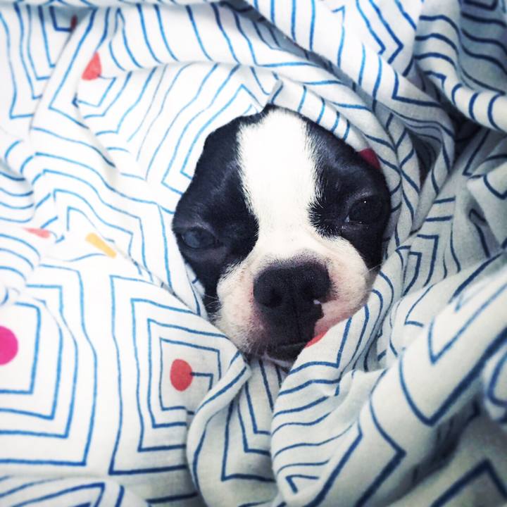 39bec708 19de 47a7 889f 1b2c4e2bd749