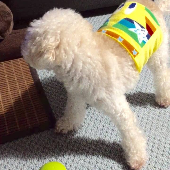 39bec964 b05f 4616 bbf5 078013d34bc6