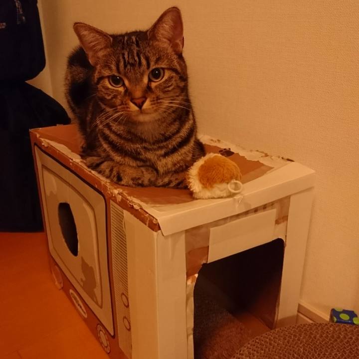 39bf035c d98f 4282 999b 6ede1f6d5847