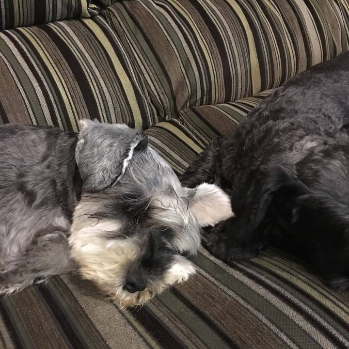 39bf1317 f200 4ff3 a1bc 1a79d5a52e0e