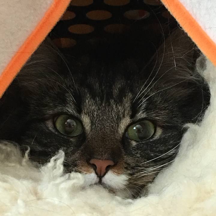 39bf4145 07ef 48c5 b9f2 bf23e8f5f579