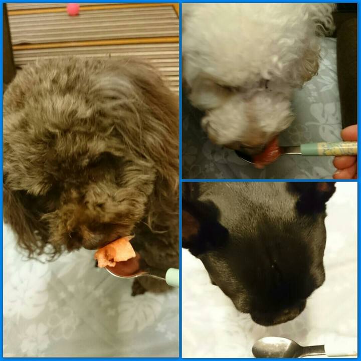 39bf5c8b c069 4127 83c4 1520ccc1e0e9