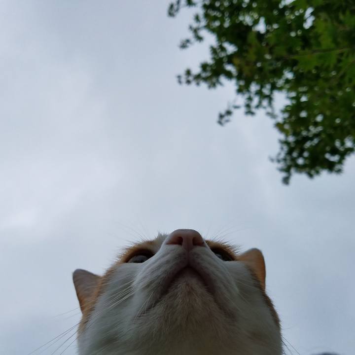 39bfa756 077b 414e a3eb 15c09c77b9fc