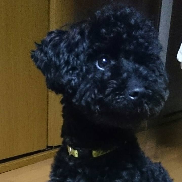 39bfd188 1e61 4bc7 93a2 f01ebc035af5