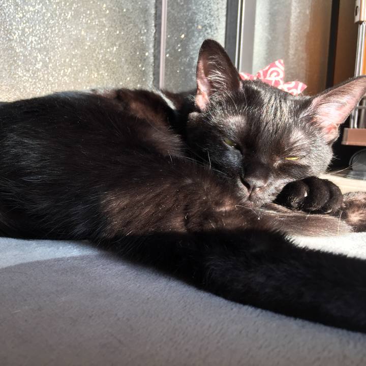 39c0968a 2209 4cdd 9bf3 70549a450fe6