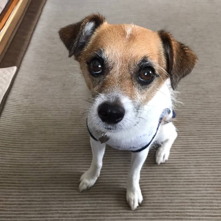 39c0a62c e20d 41ac 8f08 779a32083b22