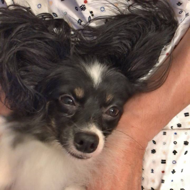 39c0ea40 149f 4ded 973e d401a1601af2