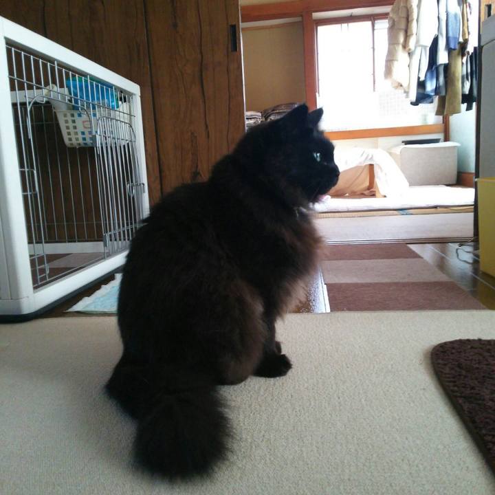 39c0f706 d9a3 43c8 8a6e 5953718d91b1