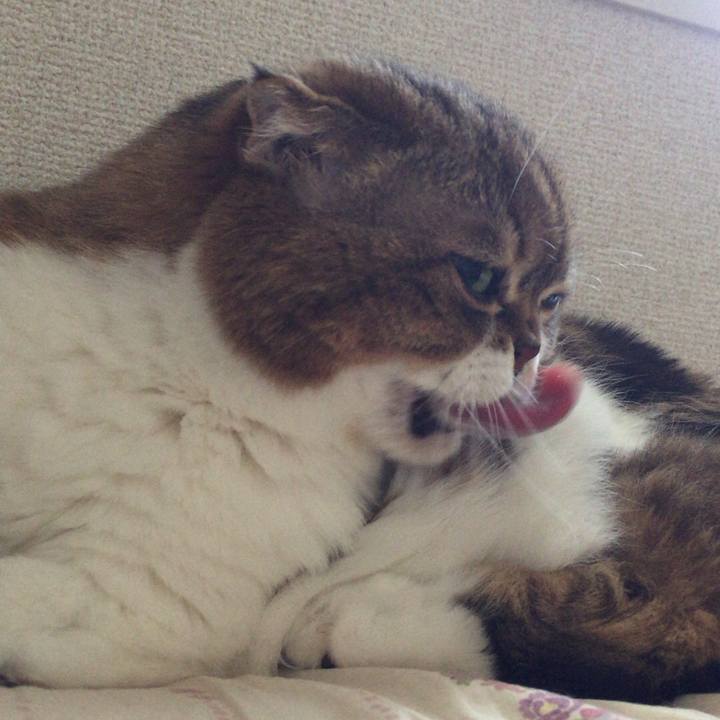 39c16963 910c 4ea2 9a41 1305d51b0d40