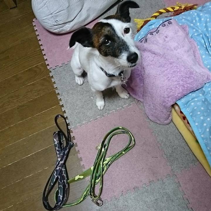 39c16c3b 8bc3 4ea6 ab61 686db8cb7f3f