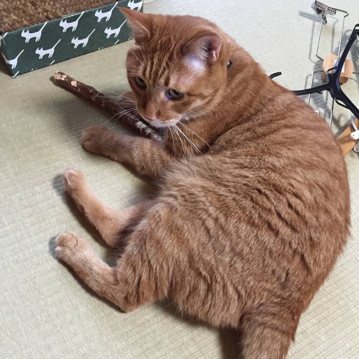 39c1a657 b18b 43a9 b605 a52193d00993