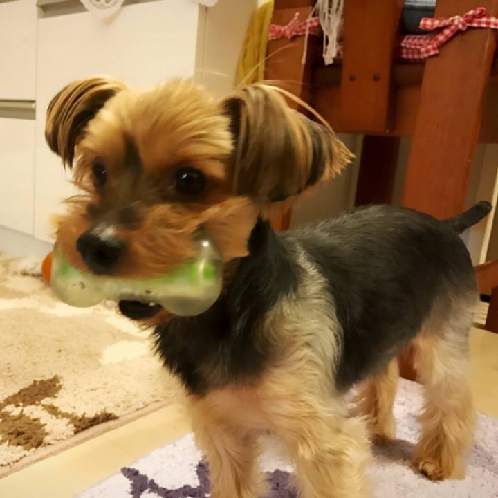 39c1fd86 cfa4 4b7b b67d ddf4831065d6